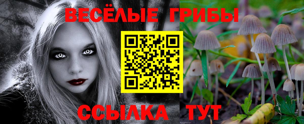 Галлюциногенные грибы Psilocybe Фролово